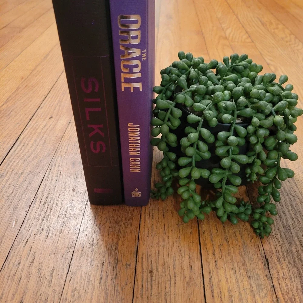 2 Home Decor Staging Books Hardcover Set Purple Silver Gray Black Modern Artsy‎